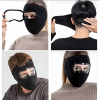 Wind and Smog Resistant Full Face Mask