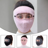 Wind and Smog Resistant Full Face Mask
