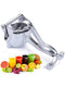 Manual Citrus Fruit Squeezer