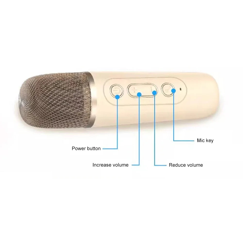 K12 Karaoke Portable Wireless Speaker With Dual Microphones