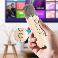 K12 Karaoke Portable Wireless Speaker With Dual Microphones