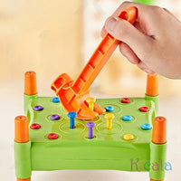 Montessori Motor Skills Toy