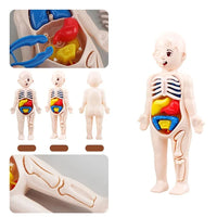Montessori Human Body Kit