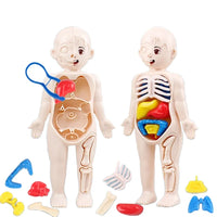 Montessori Human Body Kit