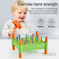 Montessori Motor Skills Toy