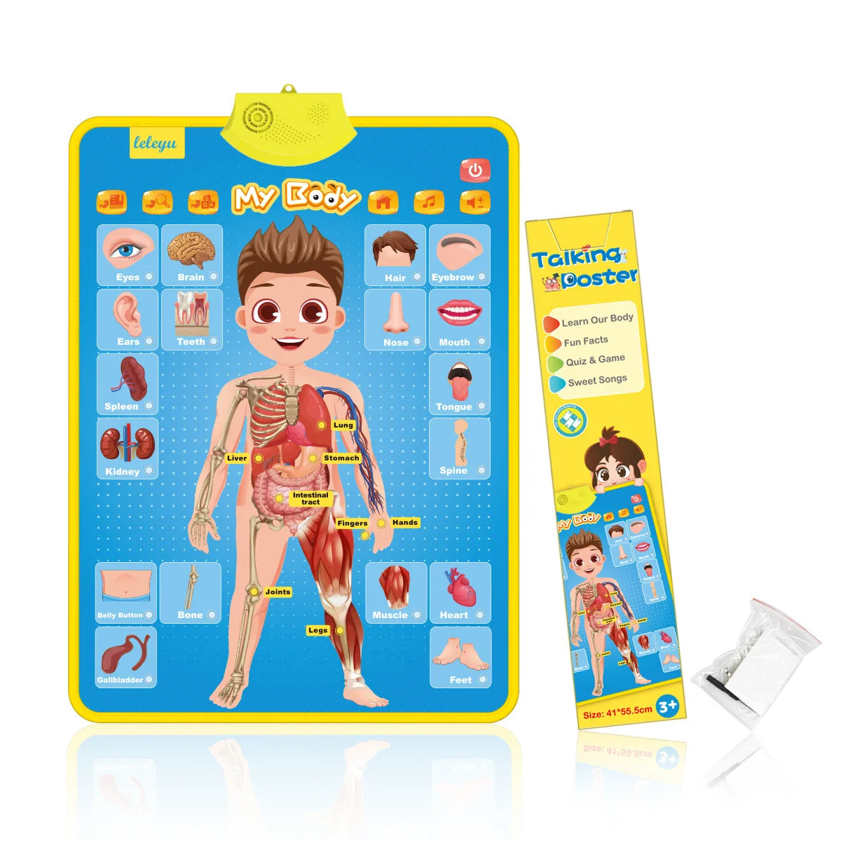 Interactive Alphabet Chart