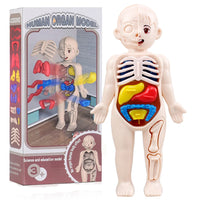 Montessori Human Body Kit